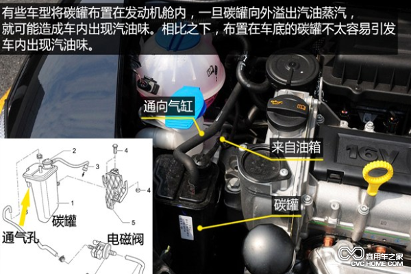 有些碳罐也布置在发动机舱上