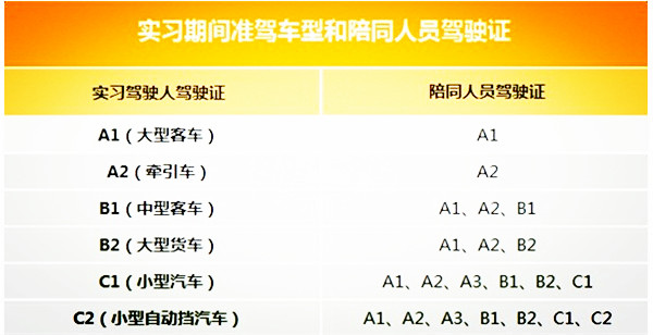 新手司机-4.jpg