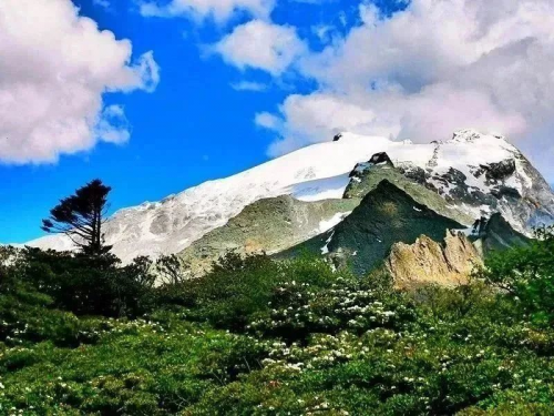 全擎集结 驰骋云滇 江西五十铃哈巴雪山探秘之旅火热进行中第1张